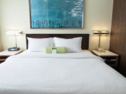 スプリングヒル スイーツ バイ マリオット ピッツバーグ モンローヴィル モンロービルのホテル