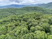Cozy 2-Bedroom Cabin with WiFi, Firepit, and More in Blairsville!