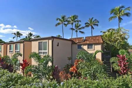 MAUI BEAUTY ~ Tropical Napili Bay Lahaina CONDO ~1BR King ~ Kitchen ~ AC!!!