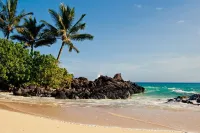 Private 2BR Cottage House with Waterfall Pool Maui Meadows Permitted