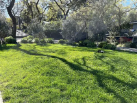 Blue Sky Cottage! Freshly Renovated,  Lovely with Gardens in Sunny Central Marin