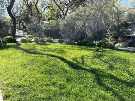 Blue Sky Cottage! Freshly Renovated,  Lovely with Gardens in Sunny Central Marin