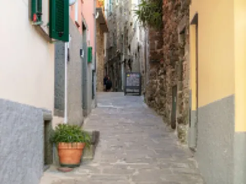 Romantic Lemon Double Room Hotels in Corniglia