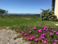 Villa le Cyprès for 4 Pers