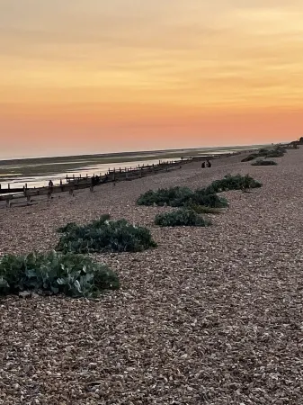 Studio Annie is the Most Relaxing Place to Stay With Free off Road Parking