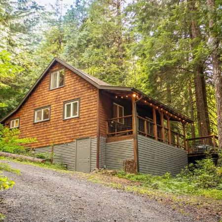 Pet Friendly, Mt Hood Cabin With Hot Tub!