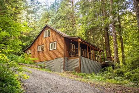 Pet Friendly, Mt Hood Cabin With Hot Tub!