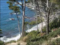 Self-catering cottage 400m from the beach, run by olive growers