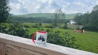 Talley Cabin - Windham NY