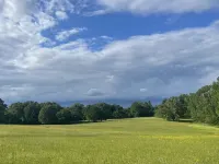 Pickwick Preserve Luxury Private Estate - 300 Acres on Pickwick Lake Hotels in Colbert County