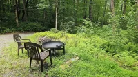 Fern Hill Cabin - near Dupont State Forest