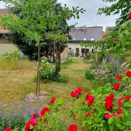 Hiking and swimming: Cozy apartment in Joachimsthal