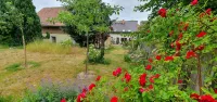 Hiking and swimming: Cozy apartment in Joachimsthal