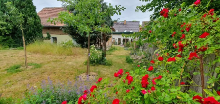 Hiking and swimming: Cozy apartment in Joachimsthal