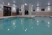 Hampton Inn Rochester-Webster - Pool