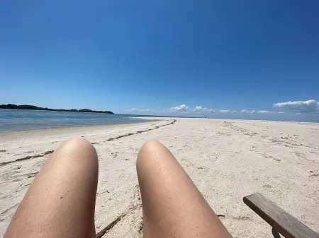 SUNSET POINT FARM - Gracious Country Farm on the Chesapeake Bay - 75 Acres