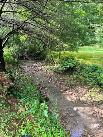 1 bed cottage, grill, fire pit, Very close to Red River Gorge!! Отели рядом с достопримечательностью «Daniel Boone Campground in Red River Gorge»