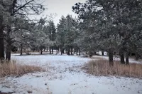 Walk to the Slopes from a Great Condo!  - THE MOUNTAIN IS OPEN