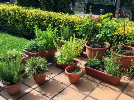 A Paradise by the Sea