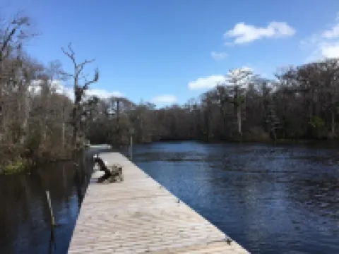 Wakulla River Retreat - a nature lover’s paradise
