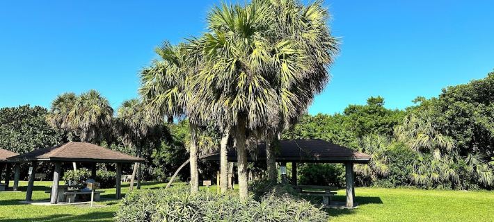 SOUTH BEACH & PARK at your Doorstep • DOLPHIN COTTAGE • Comfy Fun Vero Beach Hotels in Vero Beach