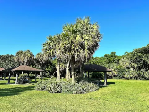 SOUTH BEACH & PARK at your Doorstep • DOLPHIN COTTAGE • Comfy Fun Vero Beach