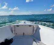 Off the beaten path in one of Islamorada’s hidden gem of a community
