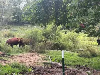 1900’s farmhouse with old country charm.  Six miles to Lake Wallenpaupack