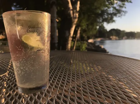 Waterfront gem, sandy beach, modern kitchen, large great room, free firewood