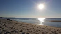 Ground level home steps from the beach in Waveland