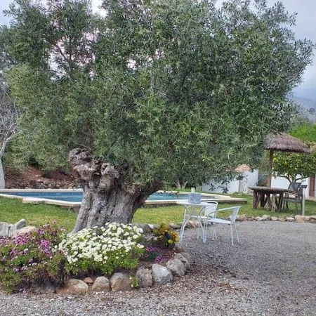 Peaceful villa renovated at 500 metres from Pollensa village  AND WIFI FREE