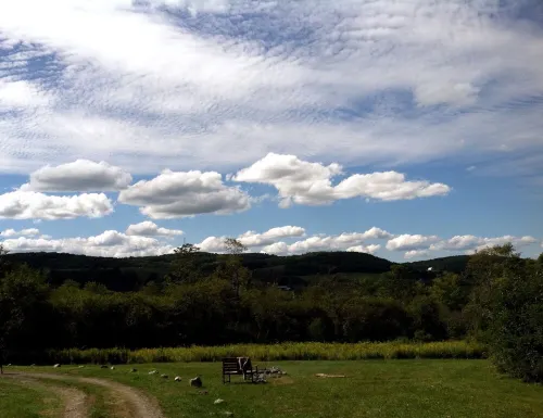 Secluded Hillside Property with Valley Views and Fishing Pond