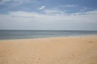 Pet Friendly Apartment- Walk To The Beach - Beach