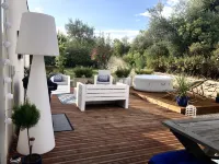 OLIVE TREES OF MAS BLUE BETWEEN NIMES AND MONTPELLIER