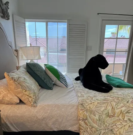 Lakeshore LUX - walk to the lake!