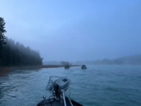 Kenai Beachfront Cabin 4 - 10min to Kenai and Kasilof rivers
