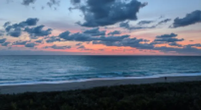 Welcome to Paradise!