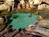 ARTHOUSE Bay Of Fires INSPIRING BEACH HOUSE