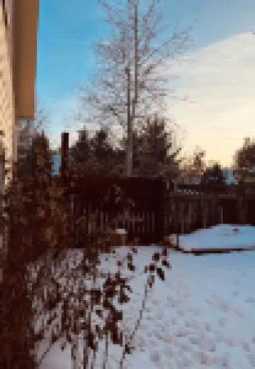 Cozy Idaho Mountain Cottage- Close to downtown and Targhee Resort AC new in 2023