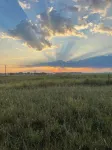 Great View Tiny Home - Late Arrivals Welcome