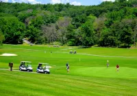 A luxurious cabin quietly tucked away in the woods, pet friendly, WiFi