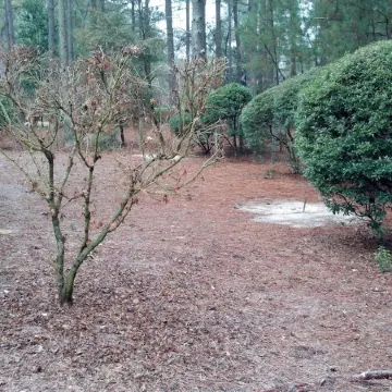 4BR/4BA Better Known as Hackers Hideaway - Sleeps up to 8 people