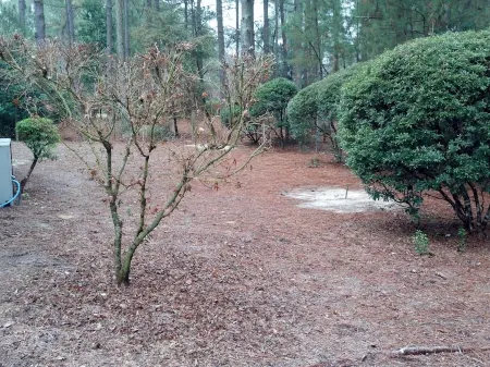 4BR/4BA Better Known as Hackers Hideaway - Sleeps up to 8 people