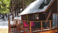Vintage Pinecrest cabin with HUGE deck- 5 minutes to Pinecrest Lake Hotels near Yosemite National Park Sign