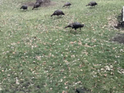 The Rest on the River - projector - fire pit - sunroom - contractors welcome Hoteles en Cedar Falls