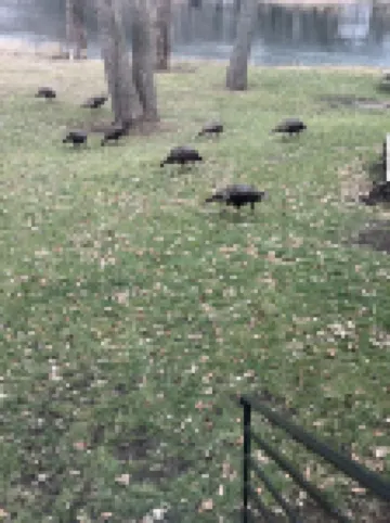 The Rest on the River - projector - fire pit - sunroom - contractors welcome