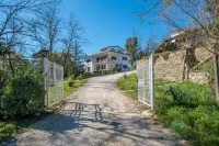 Villa with 2 spacious apartments for 2 x 7 people and swimming pool near Pisa and the sea
