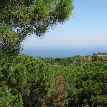 THE ANNEX. Tranquil  bungalow/gîte in hills above Begur with amazing views