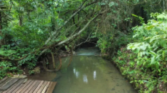 Chalé Estância da Mata Hotels in Nobres