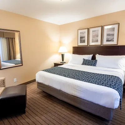 Bayview Hotel Hotels near Courtenay Airpark Water Aerodrome